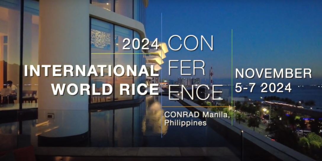 World rice 2024